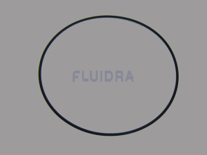 Filter lid / Valve ‘O Ring photo