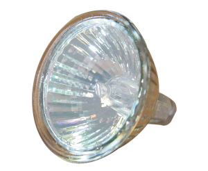 50W Halogen dichroic bulb only photo